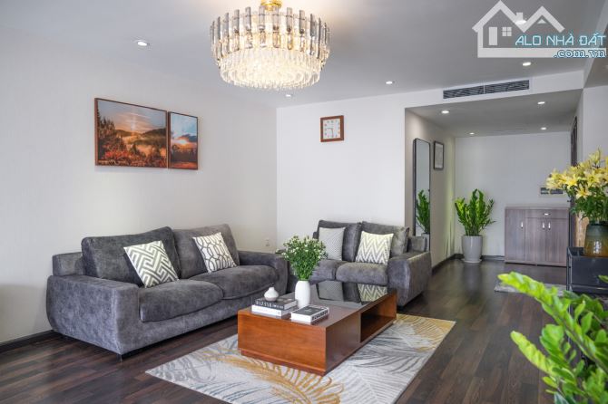 Căn hộ cực đẹp, Vip nhất Phố Triệu Việt Vương, 150m2 2PN, giá 38tr ( đã gồm dv ) - 6