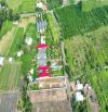 BÁN ĐẤT XÃ ĐẤT ĐỎ - TP HỒ CHÍ MINH; KHU TOÀN NHÀ VƯỜN BIỆT THỰ  ✅DT 987M2~1000M2-SẴN 200tc