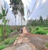 Bán 1,6 hecta đất đẹp có 300m2 thổ cư, đường ô tô gần Trung tâm xã Lâm San, Cẩm Mỹ, ĐN