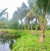 Bán nhà vườn view suối ngay phố giâ chỉ 650 triệu bao bìa