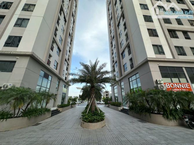 CÂN BÁN ĐẤT KHU ĐÔ THỊ TRẦN HƯNG ĐẠO HẢI DƯƠNG ( HẢI DƯƠNG 0