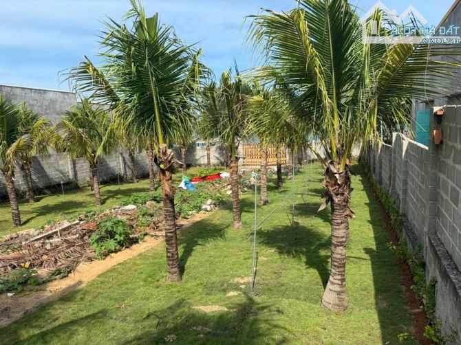 Đất đường Ven Biển Trần Lê, Tp Phan Thiết, 1170m2 có 150 thổ cư