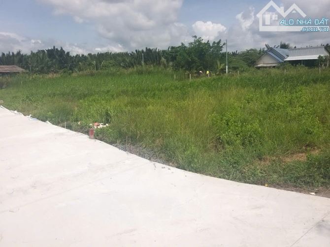 BÁN ĐẤT 8x30M, TRẦN THỊ NĂM, TÂN CHÁNH HIỆP Q12  -Giá 2.7ty bớt l