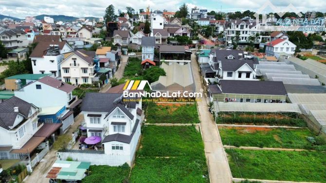 🏡Bán Gấp Lô Đất Đẹp Vuông Vức – Hẻm Ô Tô Vạn Hạnh, P.8, Đà Lạt – Giá Tốt Chỉ hơn 8 Tỷ!
