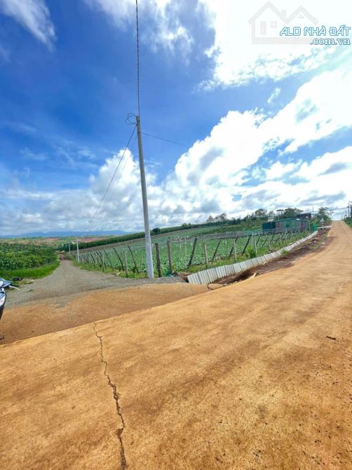 Bán đất gần 1,6 sào hẻm 02 Tản Đà -p1 Bảo Lộc giá 2.3 tỷ