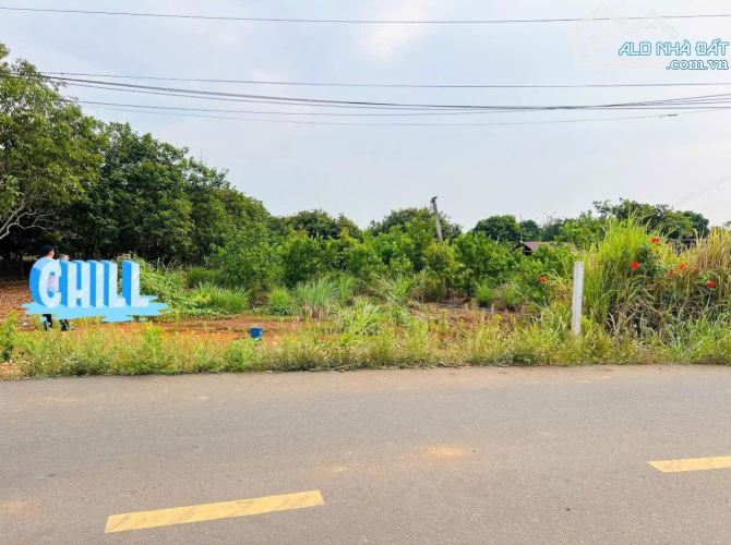Đất vườn mặt tiền đường nhựa 912m2, xã Đất Đỏ, TP.HCM - Đầu tư sinh lời cao! - 1