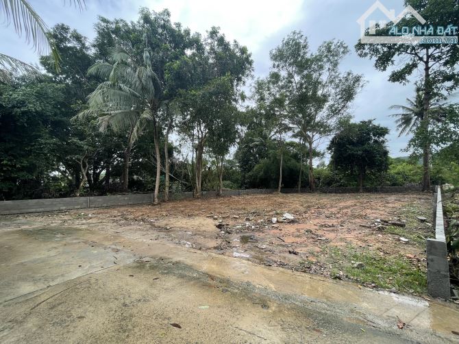 500m2 đường Trần Hưng Đạo mặt tiền rộng 18m - 1