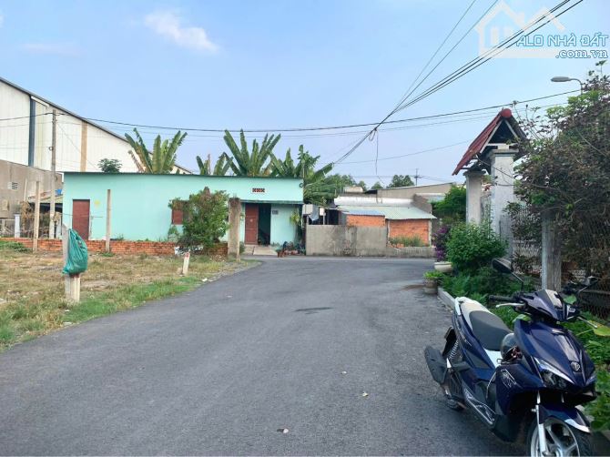 ĐẤT MẶT TIỀN ĐƯỜNG NHỰA CẦN BÁN GẤP 95M2 GIÁ 470TR ẤP CÂY SỘP TÂN AN HỘI CỦ CHI - 1