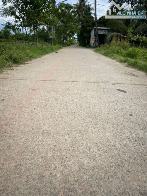 BÁN ĐẤT TRIỀU SƠN TÂY- KHỔ BIỆT THỰ GIÁ RẺ - 1