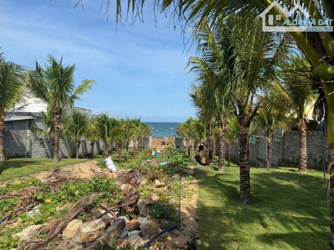Đất đường Ven Biển Trần Lê, Tp Phan Thiết, 1170m2 có 150 thổ cư - 1