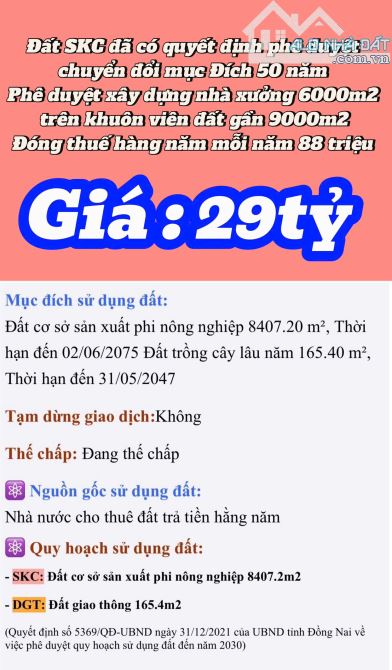 D239 BÁN GẦN 9000m2 Đất SKC đã có quyết định phê duyệt chuyển đổi mục Đích 50 năm - 1