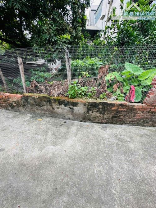Bán Đất Nền Đẹp Thôn Vàng, Cổ Bi - Cơ Hội Vàng An Cư Lạc Nghiệp! - 1