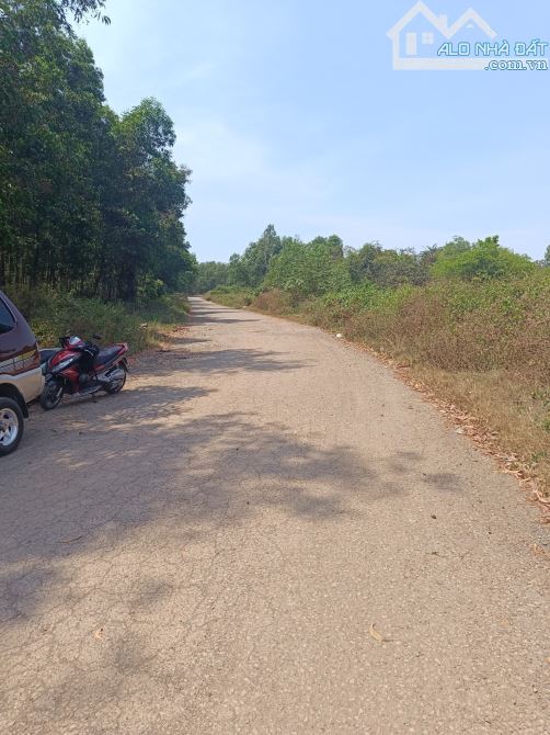 Đất Mặt Tiền Đường Số 11 Long Bình Thủ Đức Chỉ 1triệu/m2 DT:138000m2 Gấp bán - 13