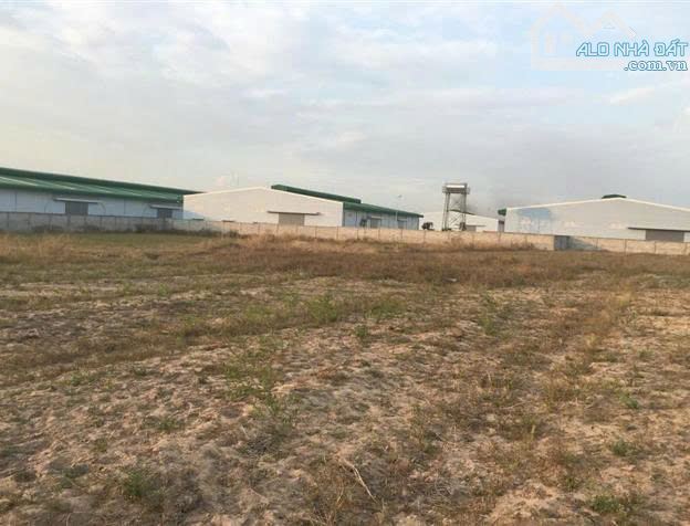 BÁN ĐẤT CỤM CÔNG NGHIỆP TÂN AN, LONG AN 5000M2 - 20.000M2 GIÁ CHỈ 120USD/M2 - 1