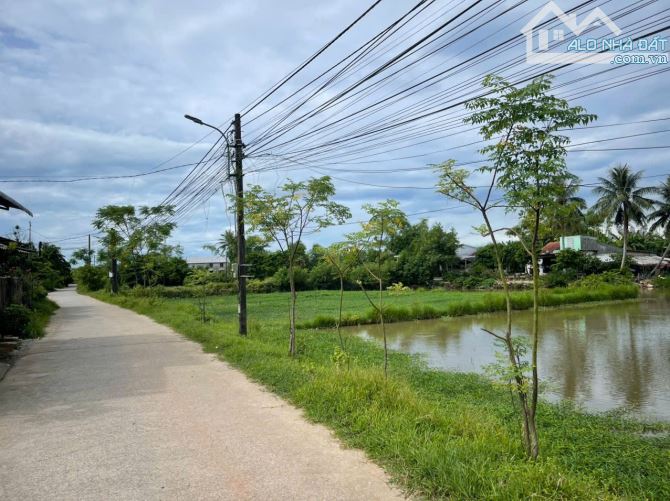 BÁN ĐẤT TRIỀU SƠN TÂY- KHỔ BIỆT THỰ GIÁ RẺ - 2
