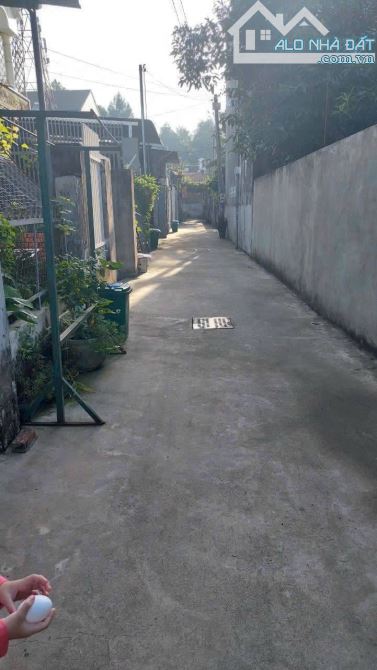 Bán Nhà Cấp 4 biên nhận riêng, DT 100M2,  đường xe hơi phường Tân hiệp. - 2