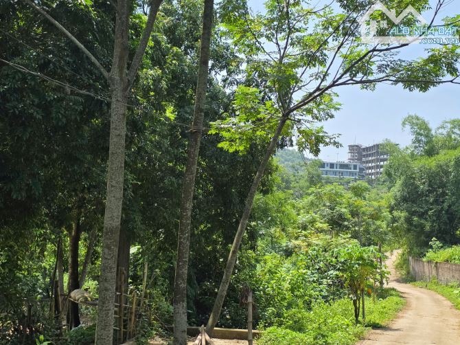 Bán 200m2 đất Phú Mãn Quốc Oai cực đẹp ô tô để ở hoặc đầu tư sinh lời giá 2.5 tỷ - 2