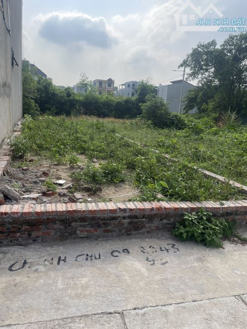 Bán đất tổ 9 – xã Quang Minh, Hà Nội - 2