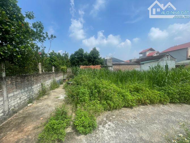 Cần bán 61m đất thị trấn Phúc Thọ mt rộng, đường thông, lô góc ko lỗi lầm. - 2