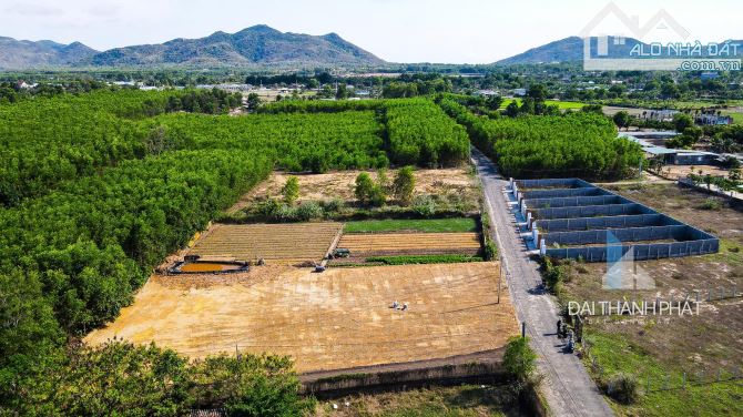 Tìm chủ mới cho lô đất view núi tại Phước Hải, TP.HCM, cách đường TL 44B  400m - 2