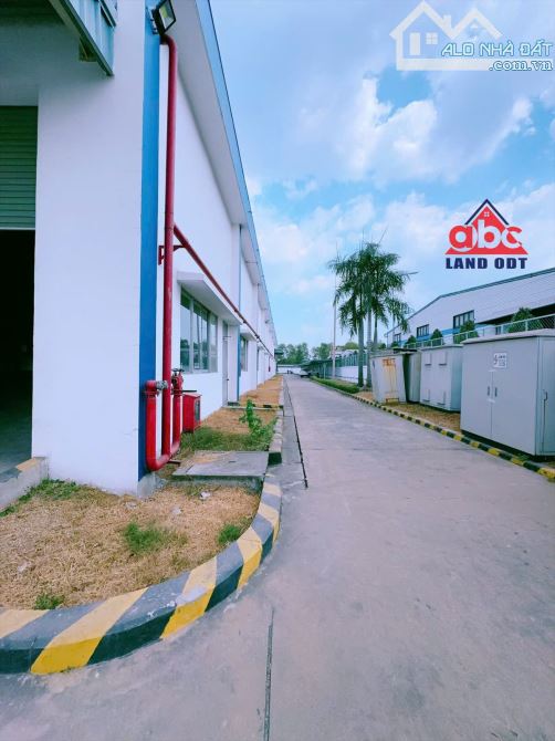 XT193 Cho thuê xưởng Sx Độc lập khuôn viên riêng biệt hơn 1Ha trong KCN Nhơn Trạch Tỉnh Đồ - 3