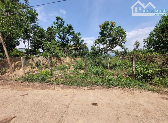 Lô đất diên Xuân, giá 650tr giảm còn 430tr - 3