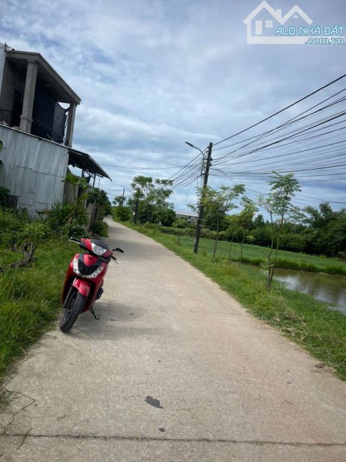 BÁN ĐẤT TRIỀU SƠN TÂY- KHỔ BIỆT THỰ GIÁ RẺ - 3