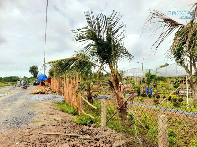 Siêu phẩm, 500m2 đất vườn view sông cực đẹp chỉ 500tr - 3