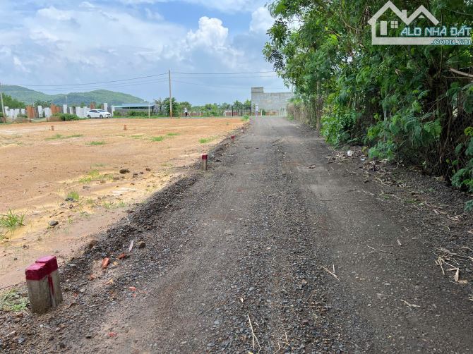 Tìm chủ mới cho lô đất view núi tại Phước Hải, TP.HCM, cách đường TL 44B  400m - 3