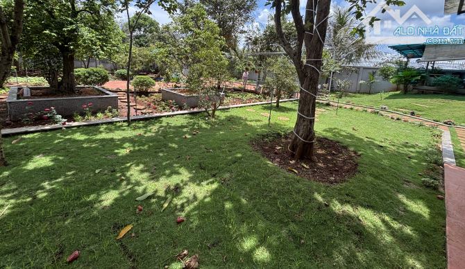 🌿 BÁN NHÀ VƯỜN ĐẸP TẠI CƯ SUÊ – GẦN KHU CÔNG NGHIỆP TÂN AN – DIỆN TÍCH KHỦNG 1.000m² 🌿 - 4