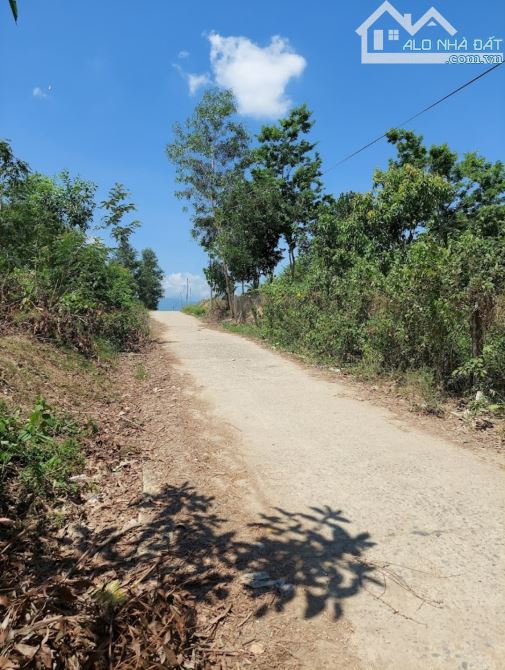 Lô đất diên Xuân, giá 650tr giảm còn 430tr - 4