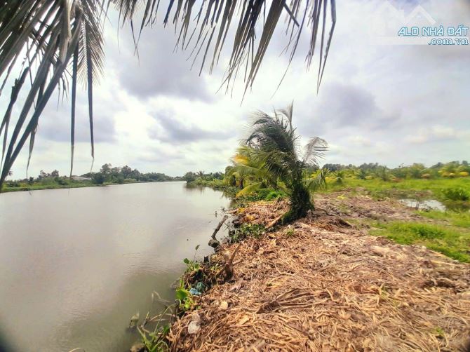 Siêu phẩm, 500m2 đất vườn view sông cực đẹp chỉ 500tr - 4