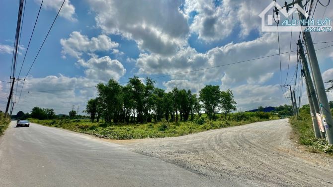 Bán lô đất 5000m2 QH SKC ngay khu HaVAs Thiện Tân Vĩnh Cửu giá rẻ - 4