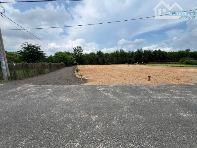 Tìm chủ mới cho lô đất view núi tại Phước Hải, TP.HCM, cách đường TL 44B  400m - 4