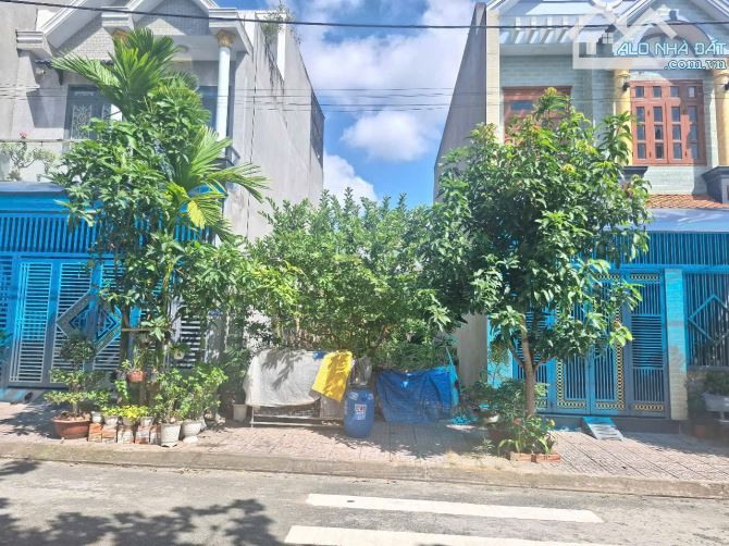 Đất KDC đất mới phường Tân Bình Tp Dĩ An - 6