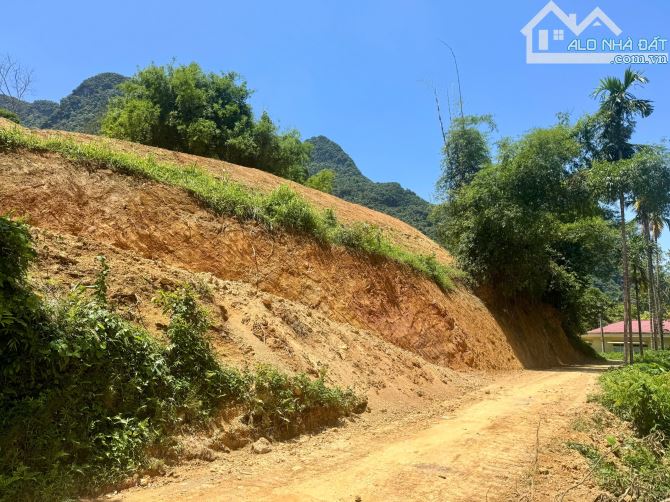2537m Có 1080m Đất Ở View Cao Thoáng Gần Trường Cấp 3 Hợp Làm Nghỉ Dưỡng - 7
