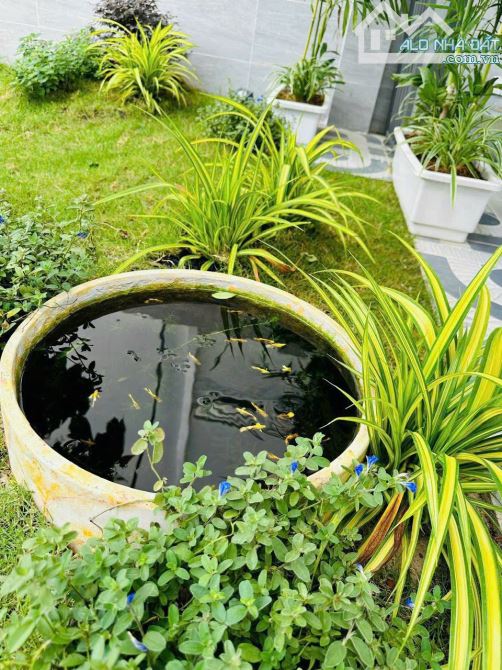 💥Bán Homstay P. Phú Trinh - T.p Phan Thiết - Bình Thuận - 8