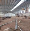 Cho thuê Xưởng pháp lý chuẩn 2800m2, Phước Tân, Biên Hòa , Đồng Nai