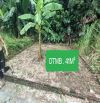 💥  BÁN GẤP MẢNH ĐẤT ĐẸP TẠI TIÊN LỆ – HOÀI ĐỨC, HÀ NỘI – CHỈ 41M², GIÁ TỐT! 💥