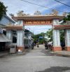 BÁN ĐẤT TRIỀU SƠN TÂY- KHỔ BIỆT THỰ GIÁ RẺ