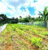 LÔ ĐẤT VÀNG 1000M2 MẶT TIỀN NHỰA PHÍA SAO CÓ SUỐI CỰC MÁT