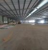Cho thuê kho xưởng 1600m2 có pccc vách tường có thẩm duyệt ở TP Thuận An, Bình Dương