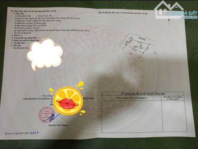 Bán lô góc cạnh VIệt Mỹ 2 tại Thôn Nghĩa Lai Cách Hải Dương