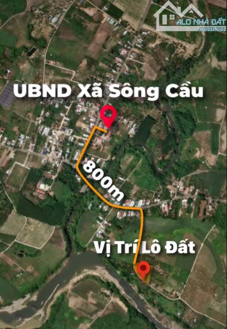 🌳 BÁN ĐẤT VEN SÔNG – KHÍ HẬU TUYỆT VỜI TẠI SÔNG CẦU- GẦN TỈNH LỘ 2 DIÊN KHÁNH🌿🍈