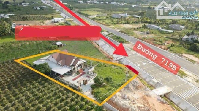 Bán căn 1928m2 đất MT 719B Hàm Mỹ, có biệt thự 300m2, gần QL1A