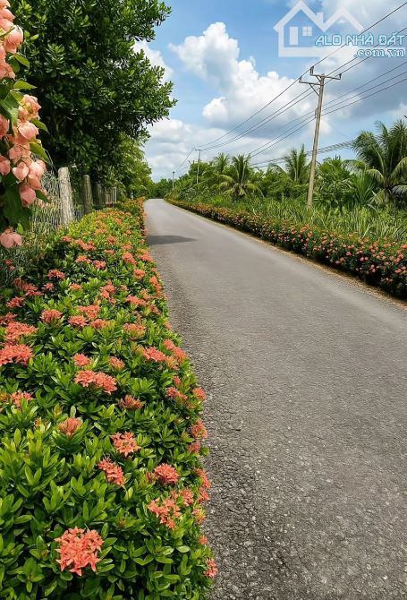 KHU DÂN CƯ MỚI – PHƯỜNG TÂN TRIỀU (XÃ TÂN BÌNH CŨ) chỉ hơn 1ty