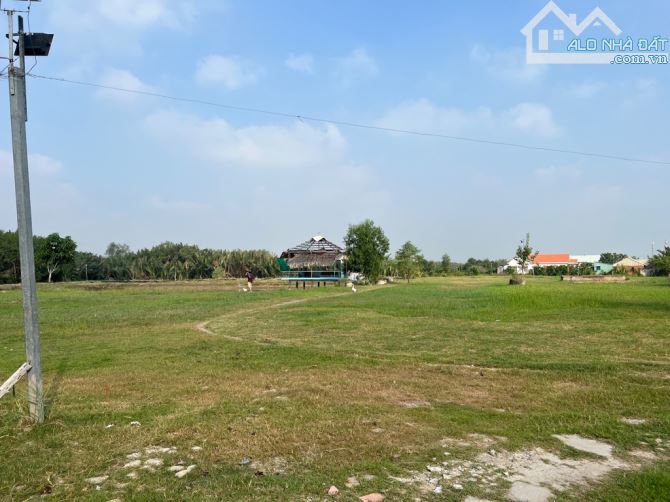 Cơ hội vàng! 1000m2 đất thổ cư Mặt Tiền Thụt Nguyễn Văn Quá, ĐHT-Q12 - 93 tỷ