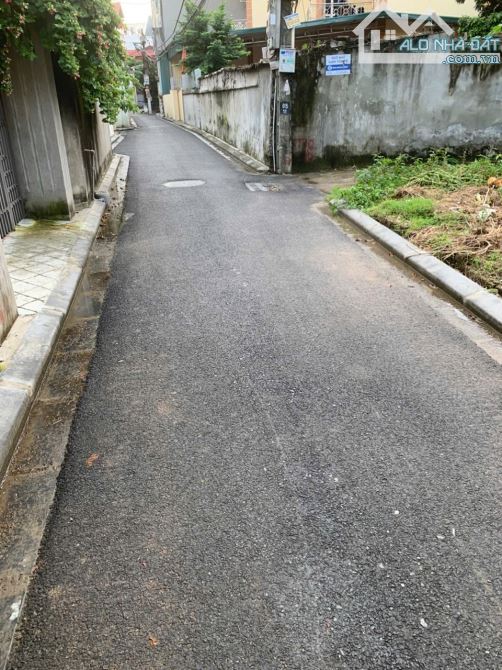 đất đẹp đài bi sát bìa làng, gần vin cổ loa, cầu nhật tân, công viên kim quy - 1