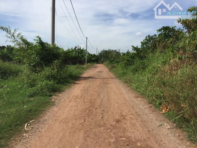 Bán đất Thạnh Xuân 52 giá cực tốt phù hợp làm kho bãi - 1