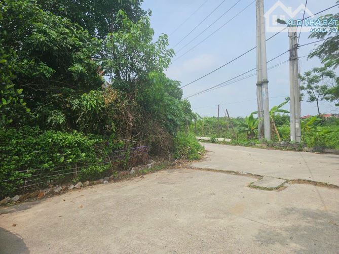 BÁN ĐẤT GIA LÂM - MẶT TIỀN RỘNG - GIÁ RẺ NHẤT KHU VỰC - 1